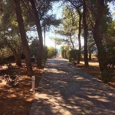 ヴィラ Seaside In Alikes, Chalkida *