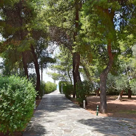 Seaside In Alikes, Chalkida Dhrosiá