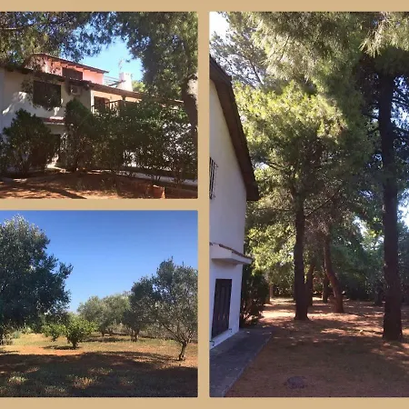 Villa Seaside In Alikes, Chalkida Dhrosiá