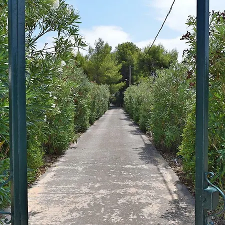 Seaside In Alikes, Chalkida Villa *